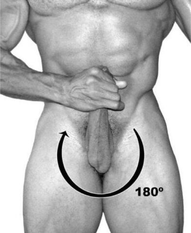 rotación do pene para aumentalo